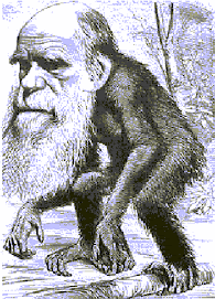 Caricatura de Darwin