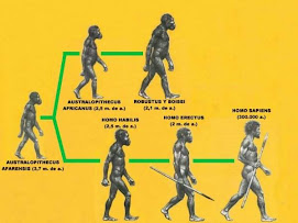 Evolución del hombre