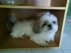 my lovely lucky..:D