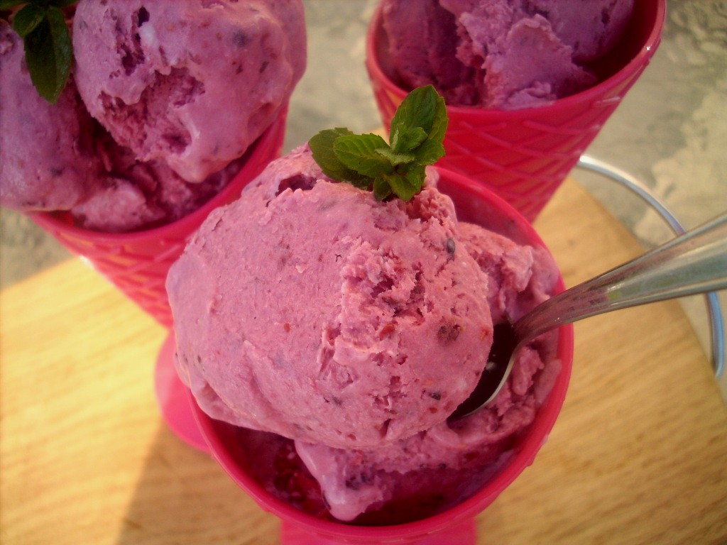 Canela kitchen (gloria) Raspberries and yogurt Ice Cream