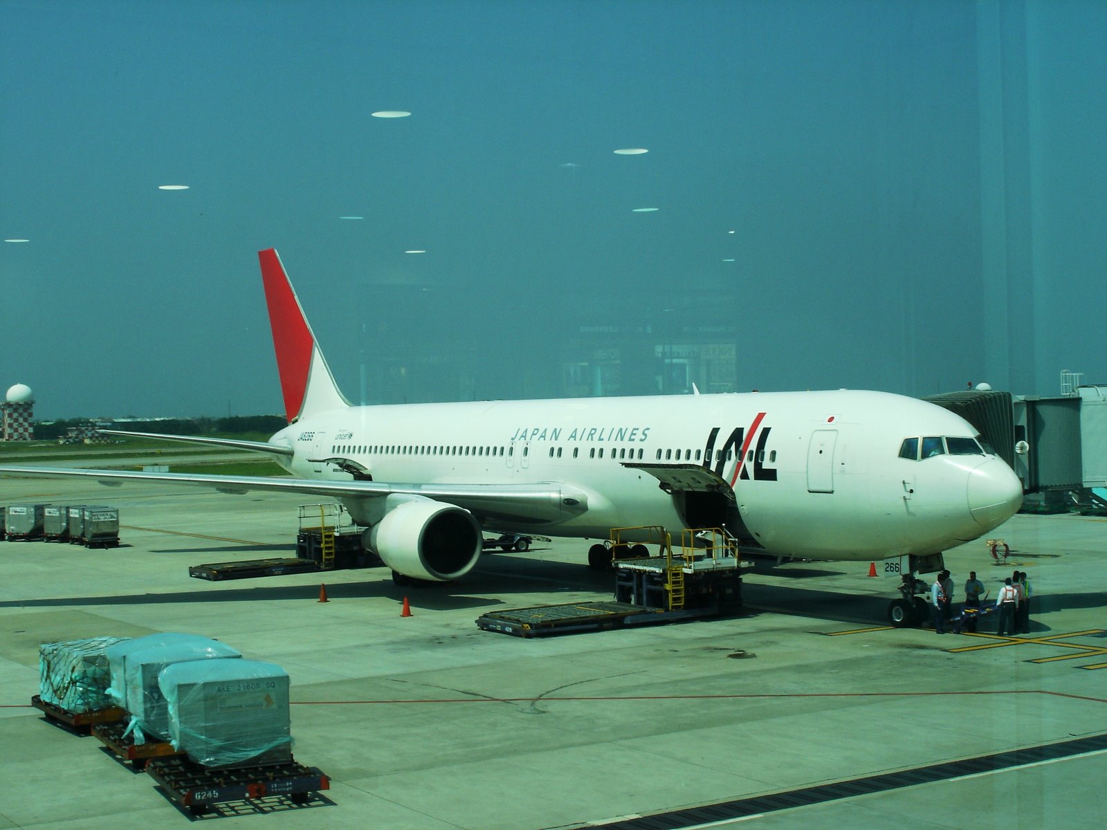 [JAL.JPG]