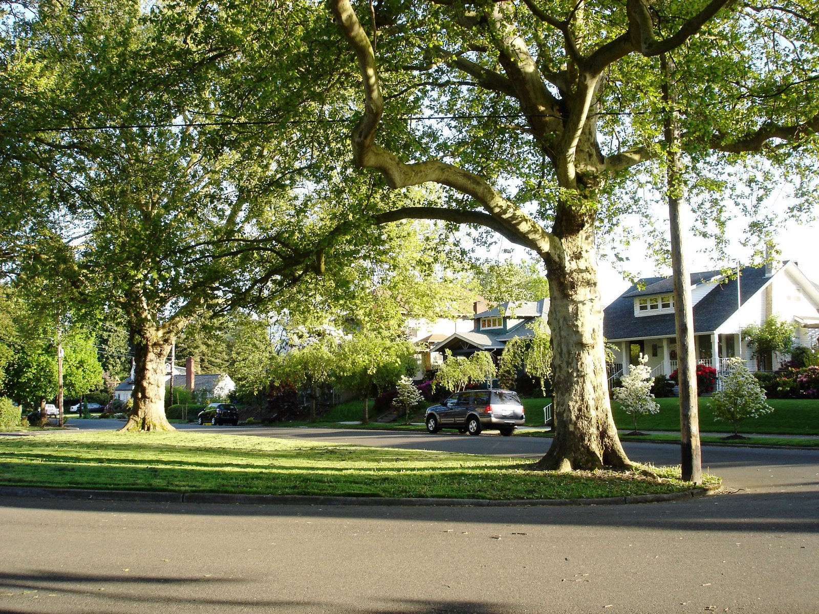 [DSC00706.JPG]