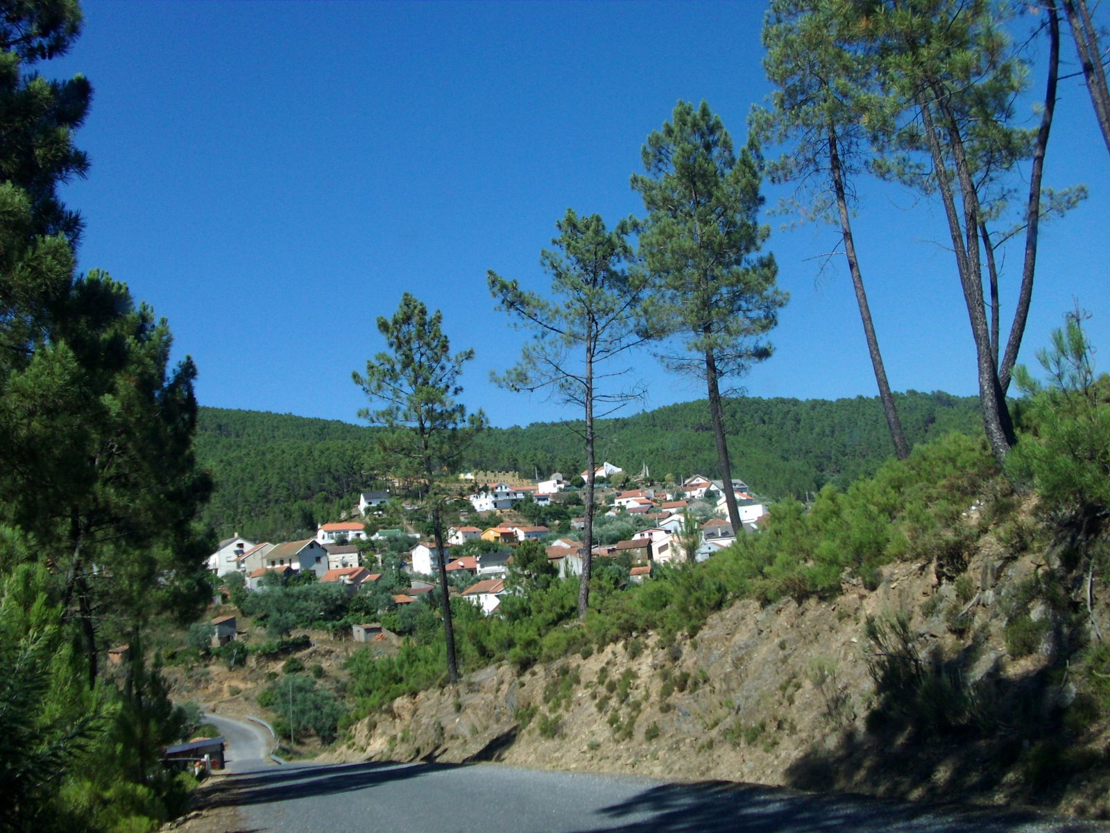 [HPIM3715.jpg]