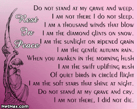 Harper Gallery Happy Birthday Poems For Cousins