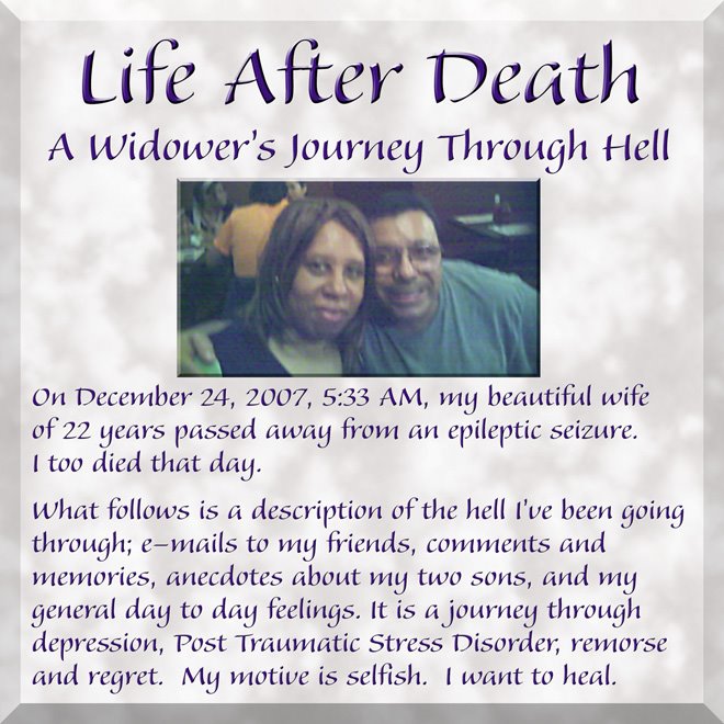 Life After Death; A Widower's Journey Through Hell