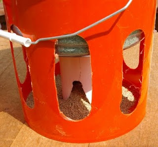 Sudden Severe Food Allergies Symptom Of Metric Copper Tubing