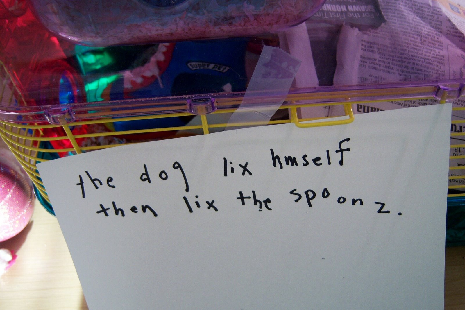 [lick.JPG]