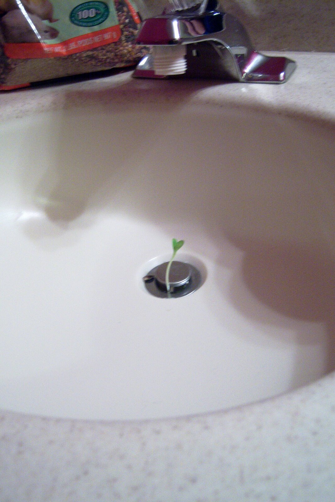 [sink.JPG]