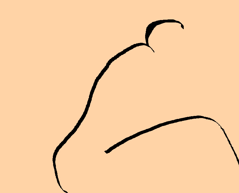[rose.jpg]