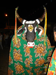 FESTA DA PALMEIRAS