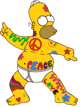 Batalla en el desierto Homer+hippie
