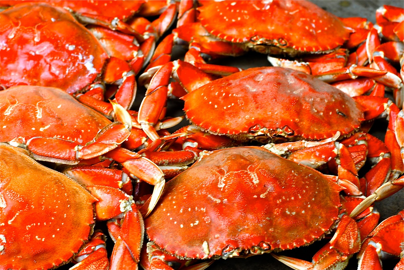 The Enchanted Cook Catch and Eat Adventures in Oregon