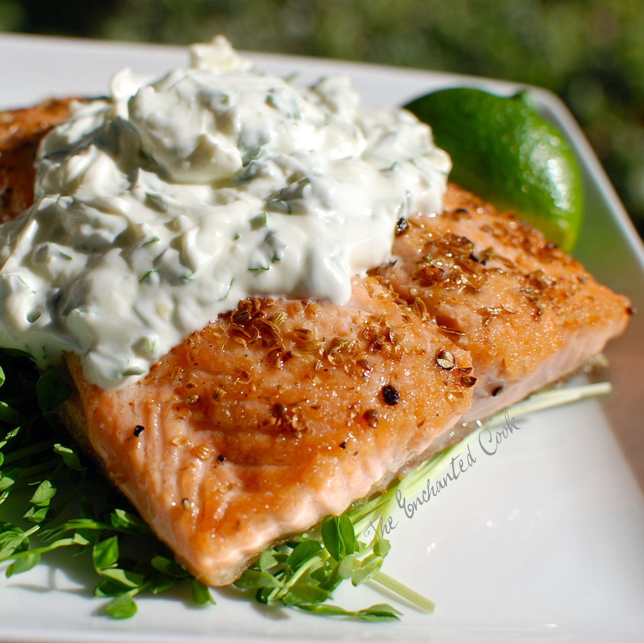 The Enchanted Cook SpiceCrusted Salmon with GingerCilantro Yogurt Sauce