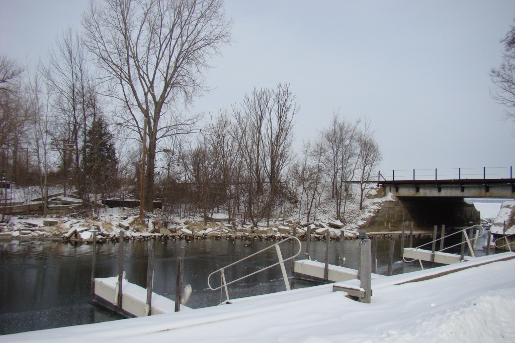 Weedpicker's Journal Castalia's Cold Creek