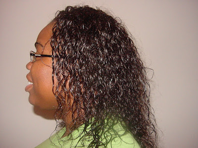 Tree Braids Tree Braid