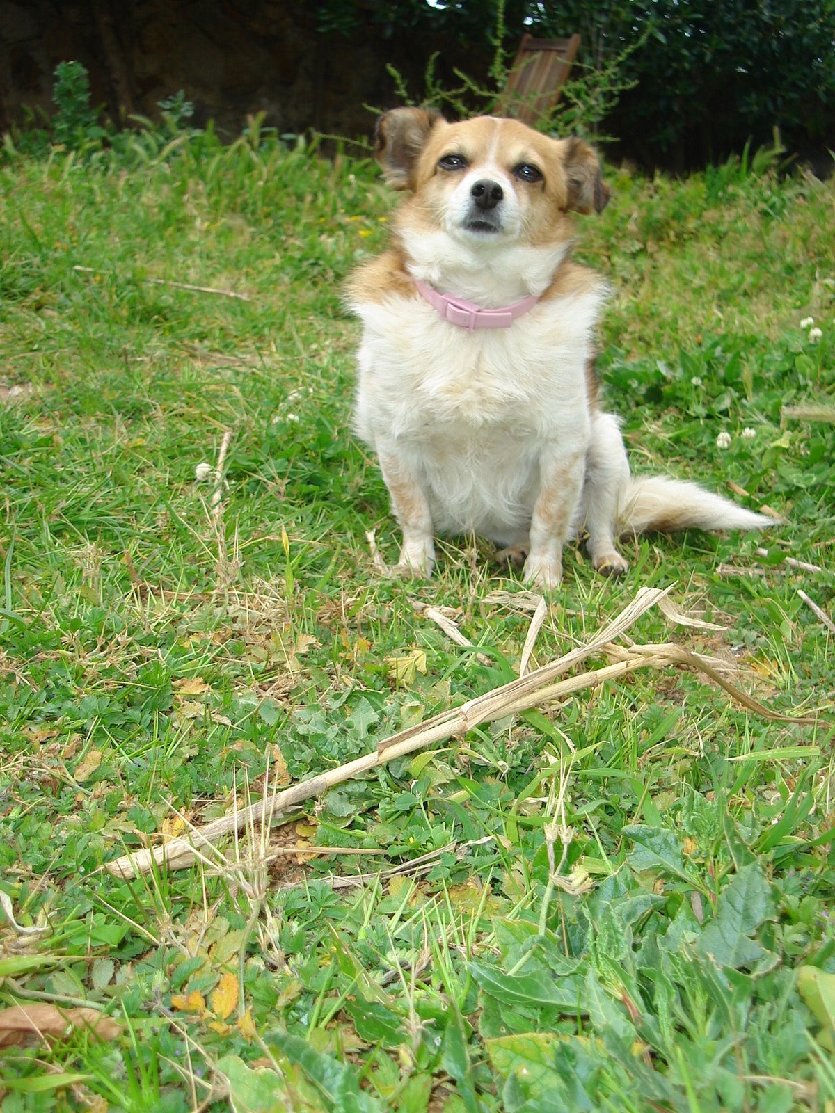 [DSC01896.JPG]