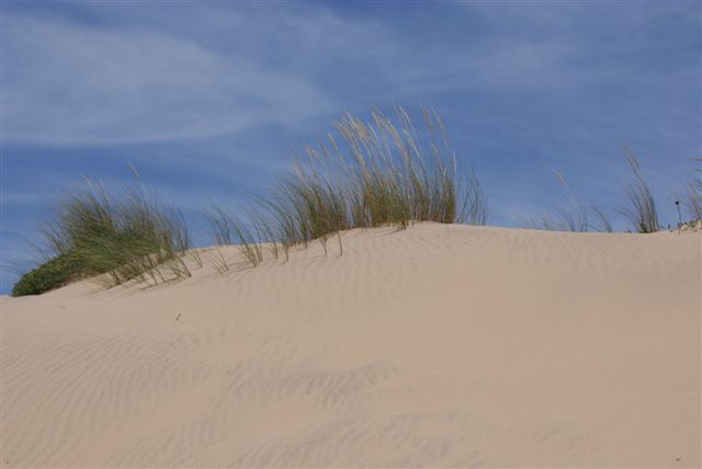 [DSC01074.JPG]