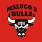 Malucos Bulls