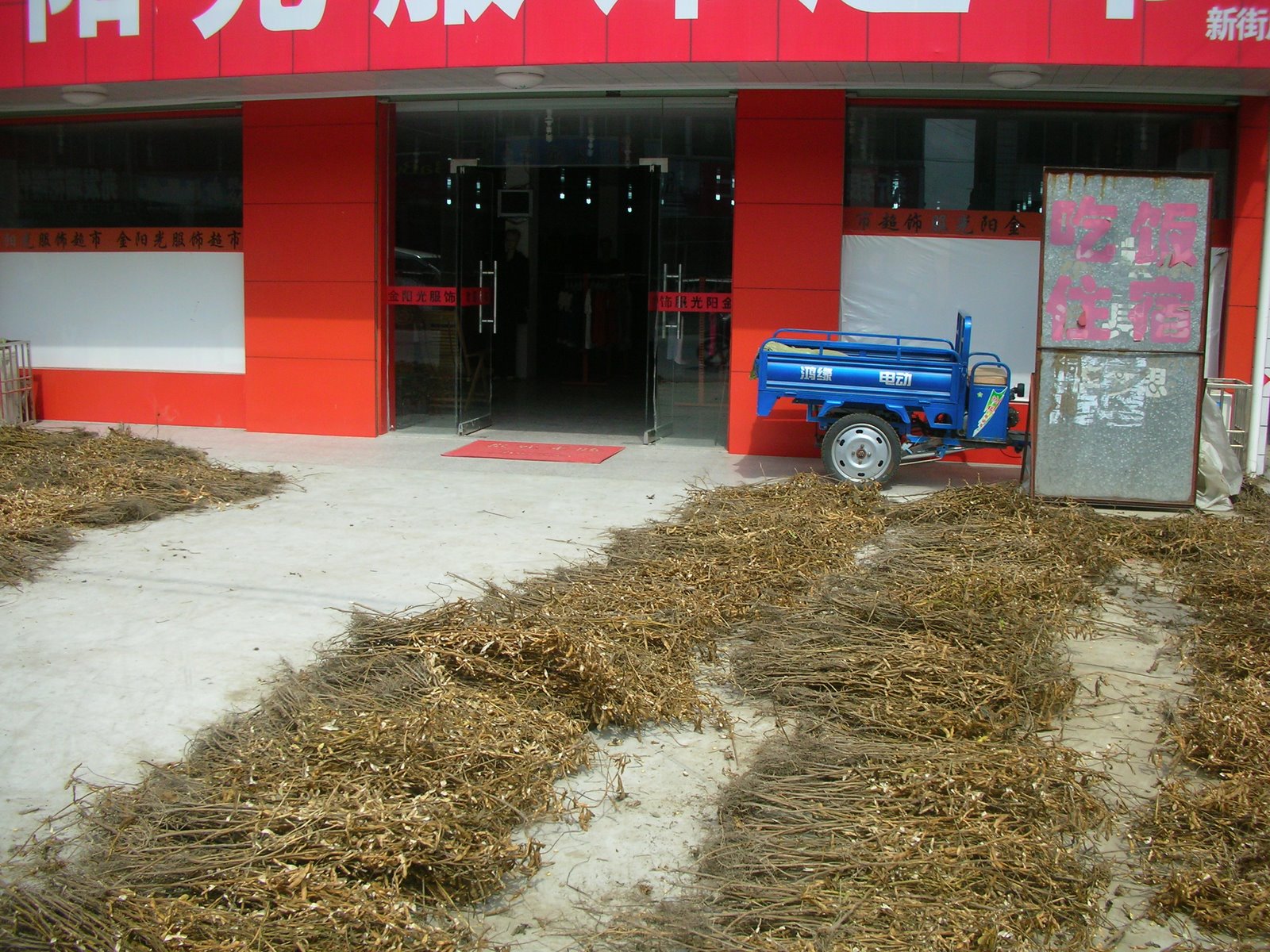 [DSCN8735.JPG]
