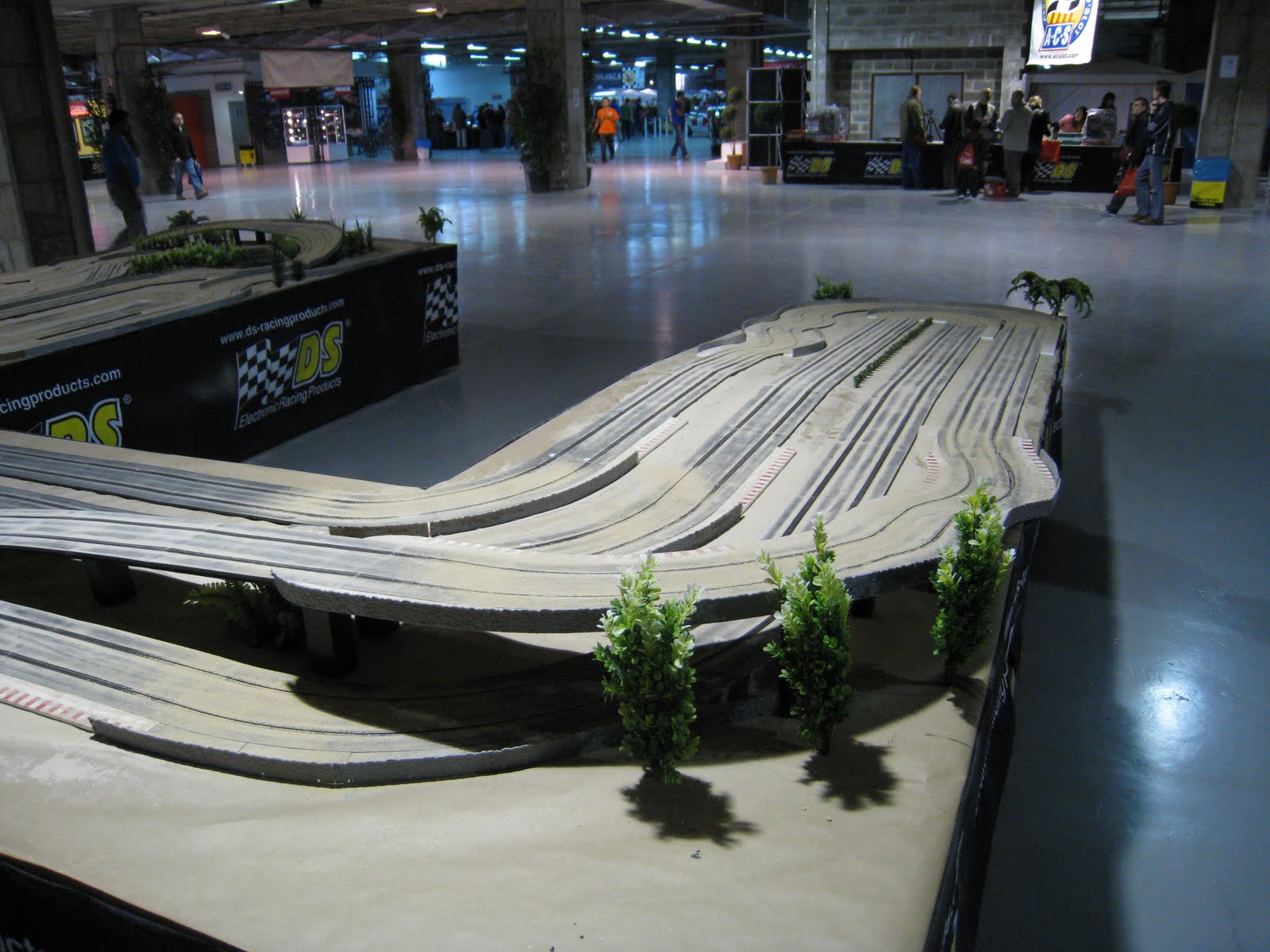 [IMG_0875.JPG]