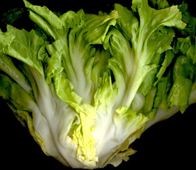 escarole wiki