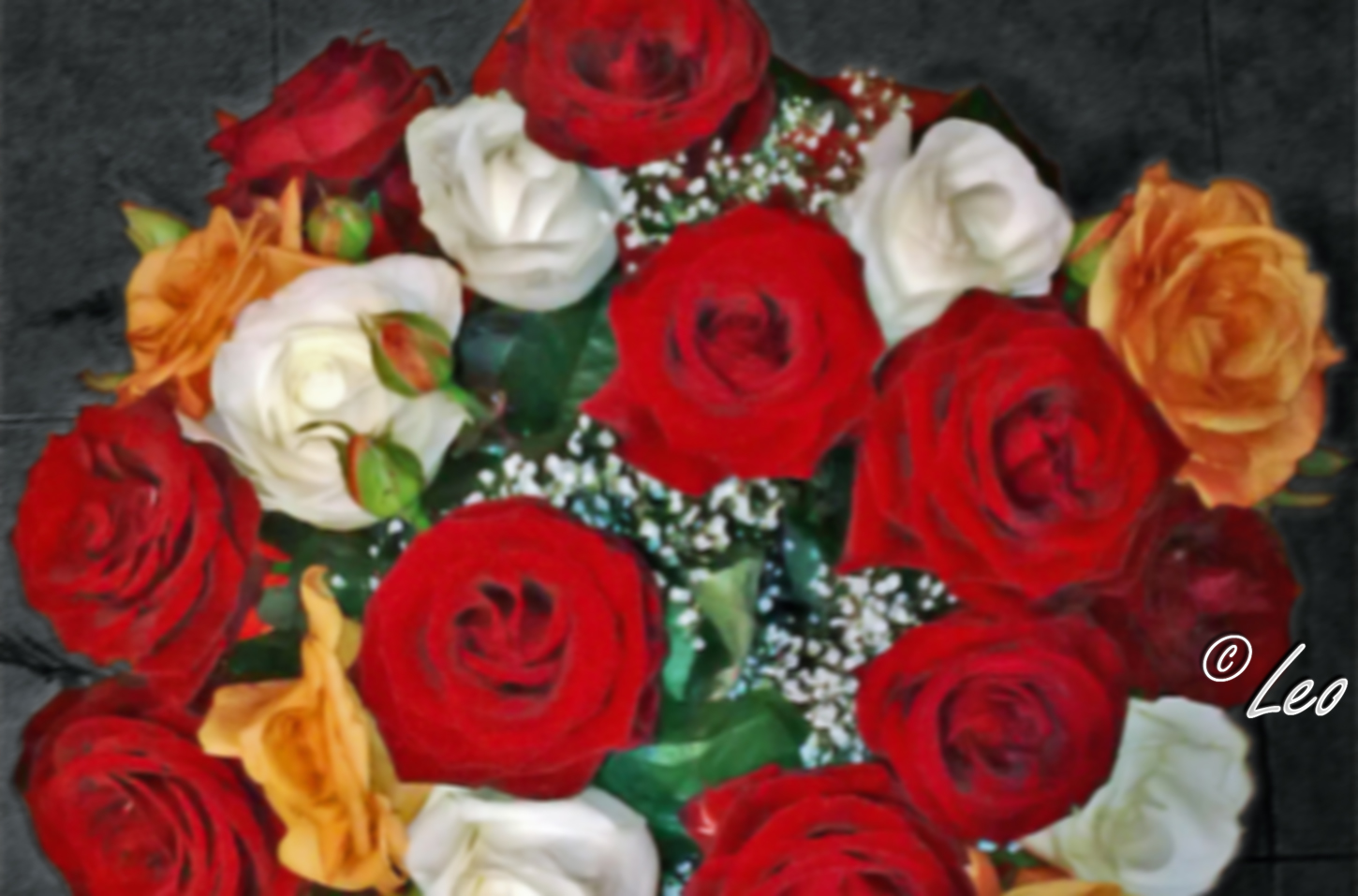 ... -YI/AAAAAAAAAAU/yCveB4rui-w/s1600/Roses+from+my+love+Roxi+by+Leo.jpg