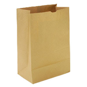 57-lb-1-6-brown-paper-grocery-bag-500-bd.jpg