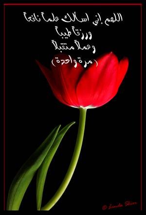 [ØÙÙÙÙ+ØÙÙ +ØØØÙÙƒ+ØÙÙØ+ÙØÙ ØØ.bmp]