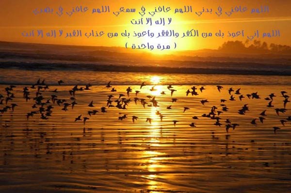 [ØÙÙÙ+ØØÙ ÙÙ +Ù Ù +ØØÙÙ .bmp]