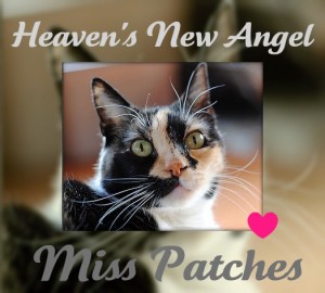 RIP-Patches-2010-11-19-300x270.jpg