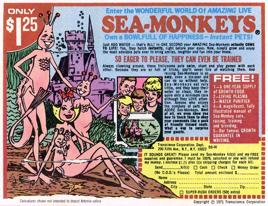 [SeaMonkeyAd.jpg]