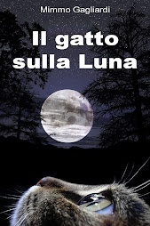 Il gatto sulla luna