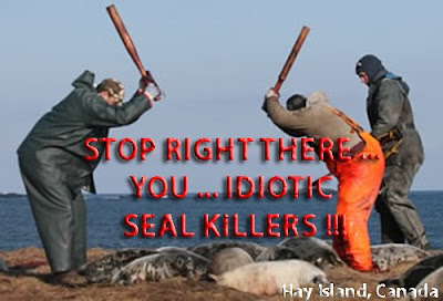 Seal Hunt 2009 An Update ~ The End and The Beginning of All The Others