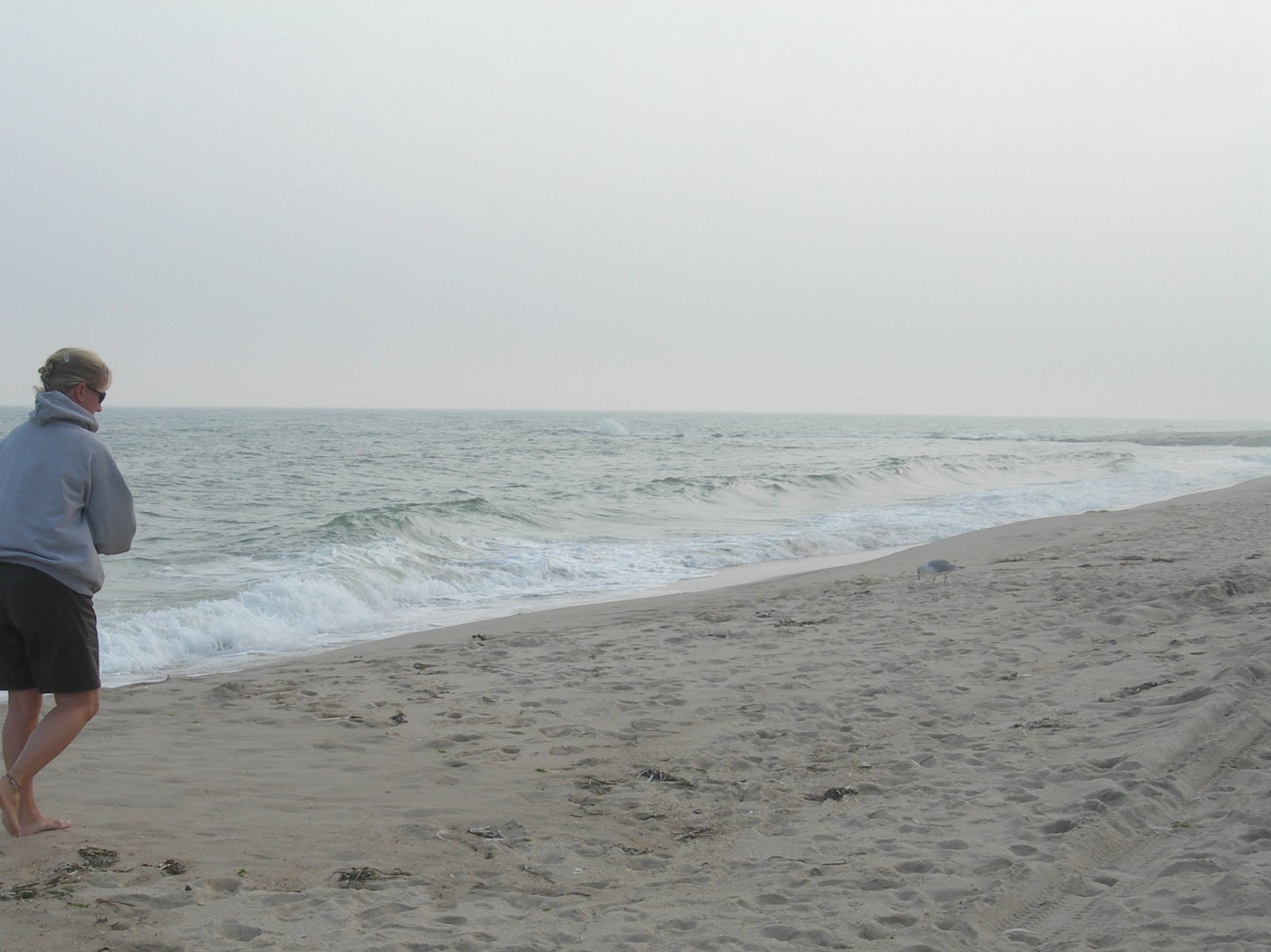 [DSCN5340.JPG]