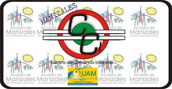 Centro de Comercio Informal