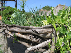 "Jardineiros do Planeta"