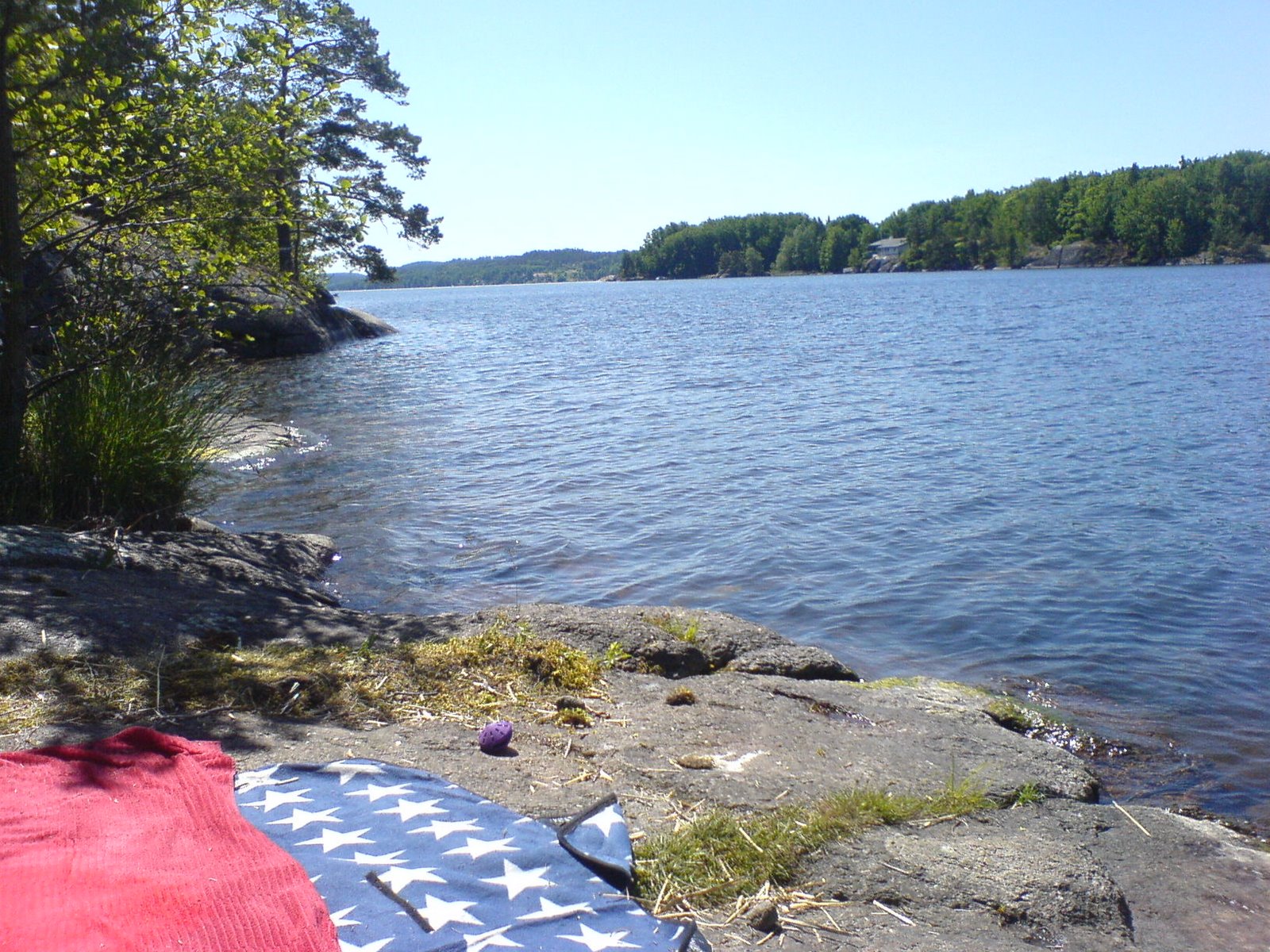 [DSC01264.JPG]