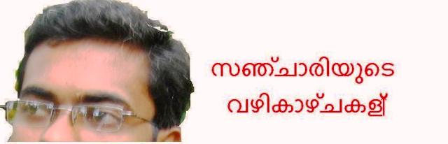 സഞ്ചാരിയുടെ വഴിക്കാഴ്ചകള്‍