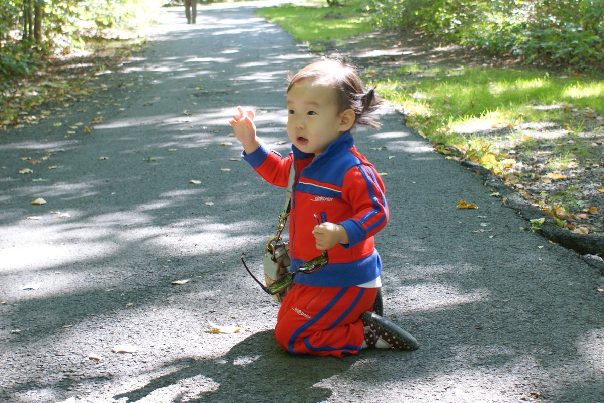 [DSC00630.JPG]