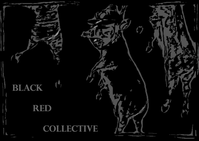 Black Red Collective