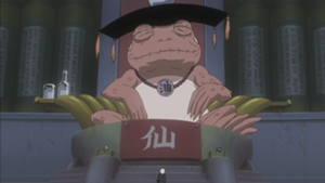 The_Great_Toad_Sage