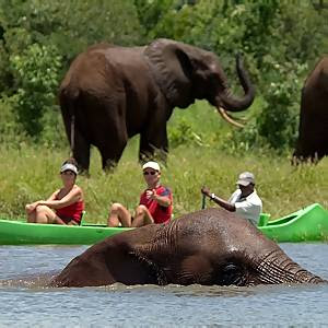 Zambia Victoria Falls canoeing