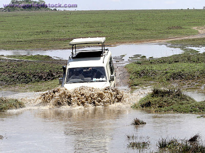 Serengeti National Park Tanzania Safari Tourist