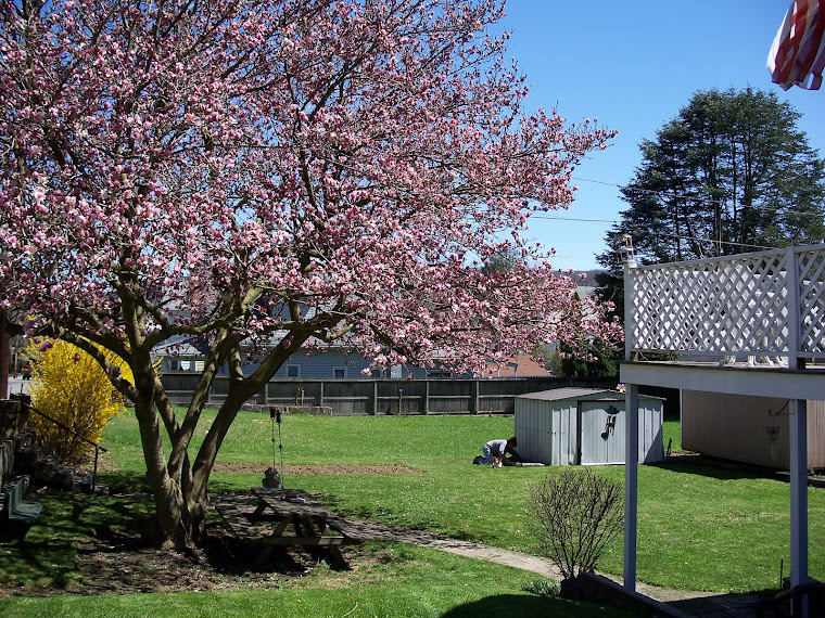 Spring Planting