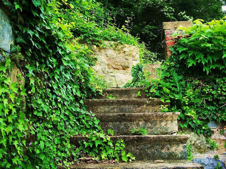 Upper level entry