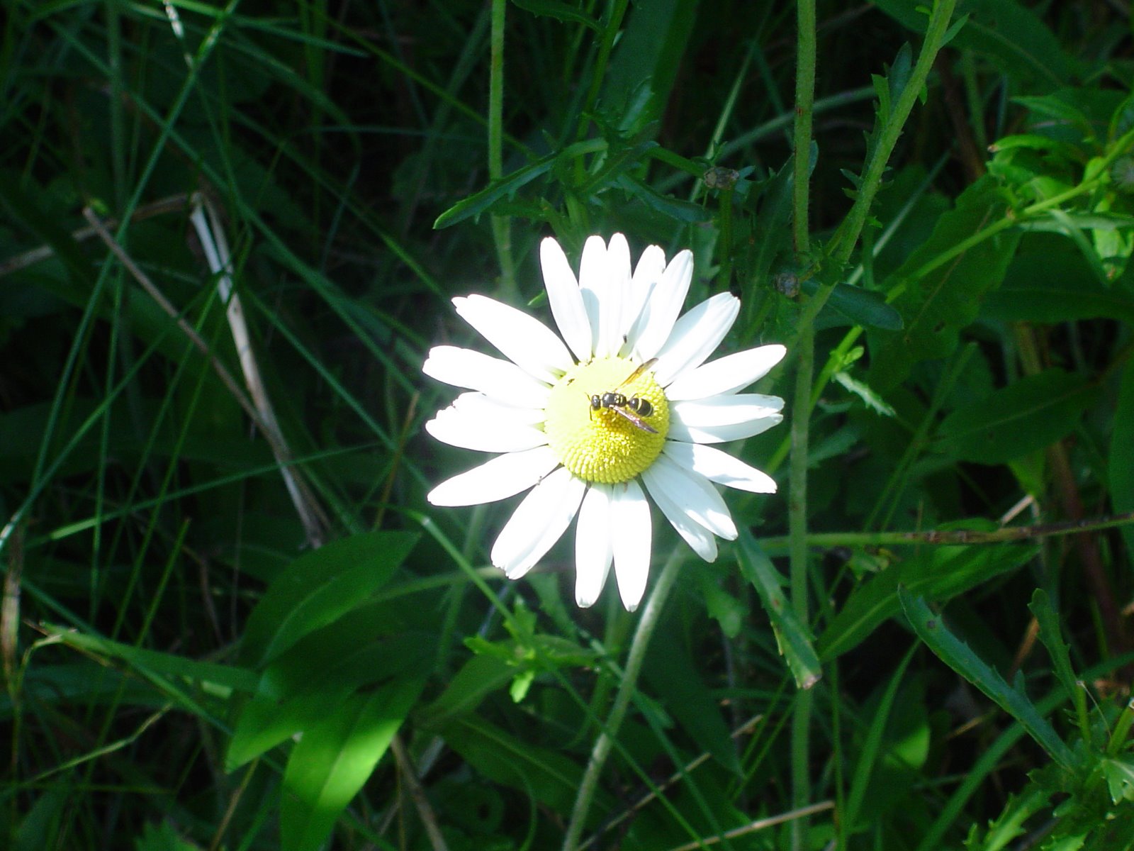 [DSC01469.JPG]