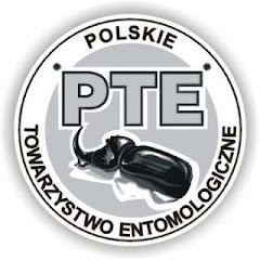 Logo PTE