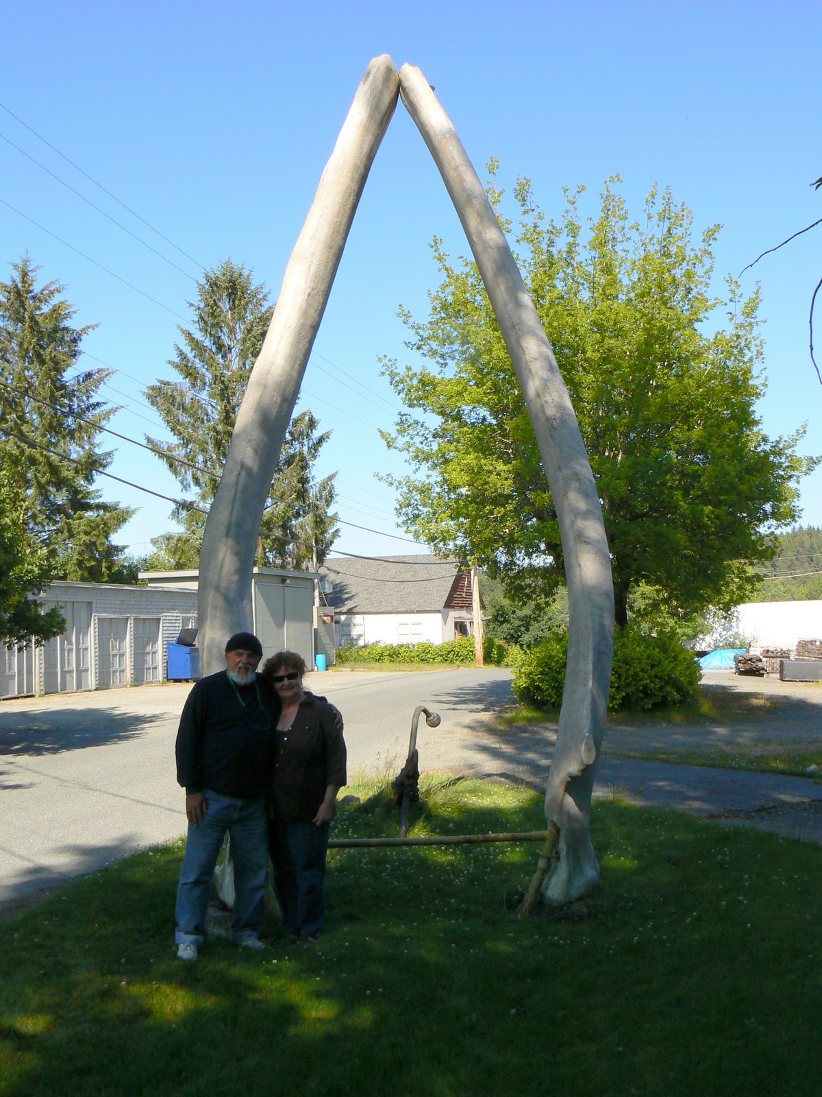 [P1090646.JPG]