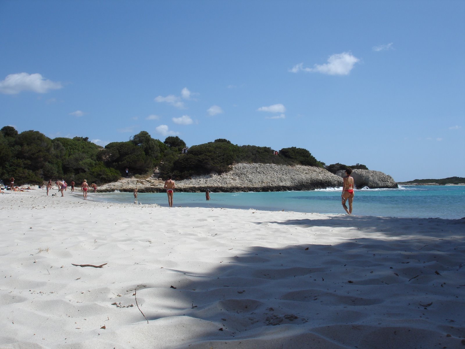 [DSC03295.JPG]