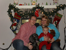 Our Christmas picture